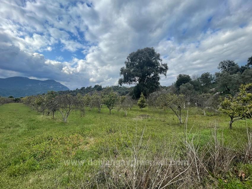 Boutique-Hotel Und Bungalows Auf Einem 11.000 M² Großen Grundstück In Dalyan Zu Verkaufen