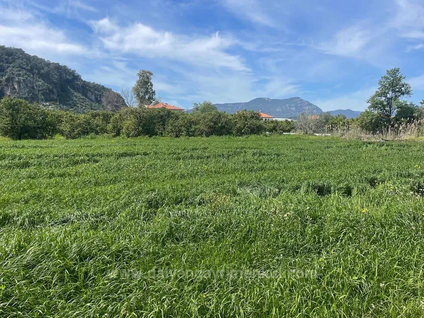 In Okçular Einem 736M2 Großen, 250M2 Großen Bau Genehmigten Verkäuflichen Grundstück