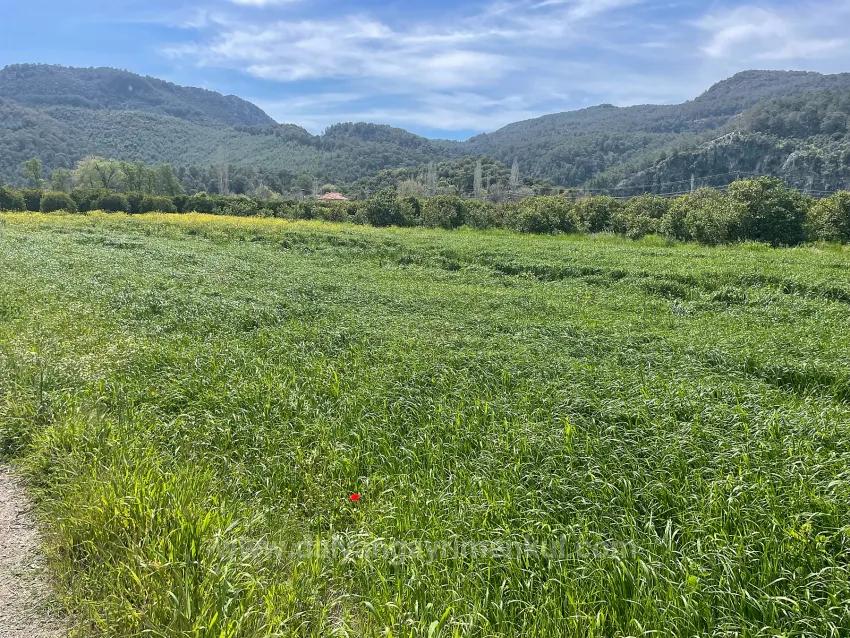 In Okçular Einem 736M2 Großen, 250M2 Großen Bau Genehmigten Verkäuflichen Grundstück