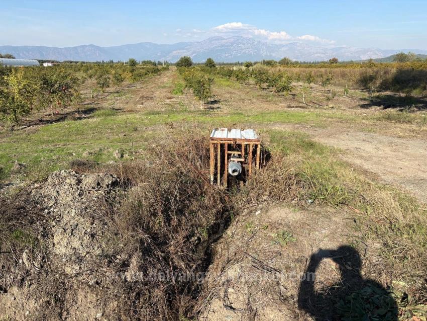 21500 M² Großer Granatapfelgarten In Eskiköy Zu Verkaufen
