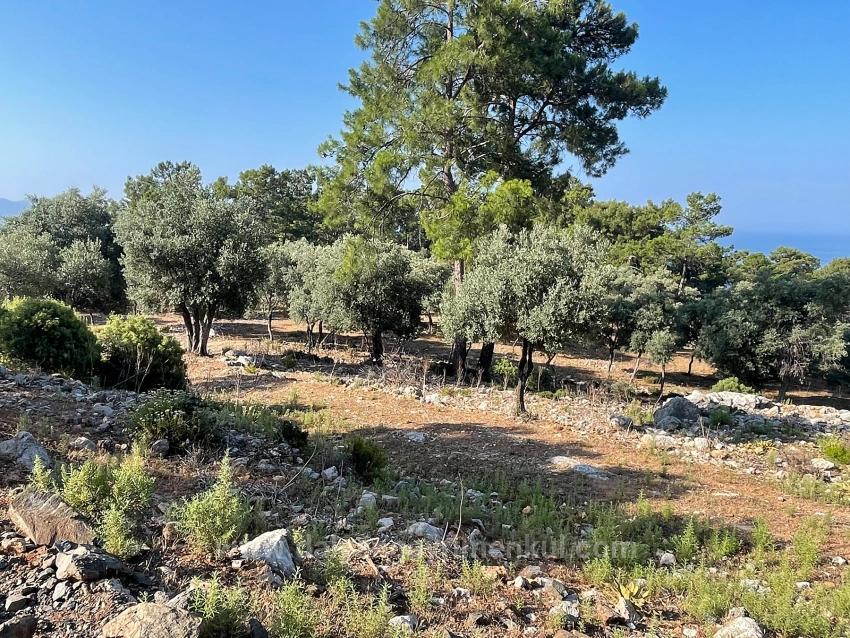 Schnäppchengrundstück Zum Verkauf Mit Meerblick In Der Gegend Von Ekincik-Çandır.