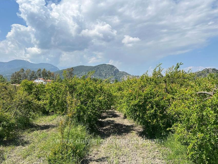 5.100 M² Großes Grundstück In Dalyan, Gebiet Maraş, Zu Verkaufen, Ausgewiesen Für 5% Wohnnutzung.