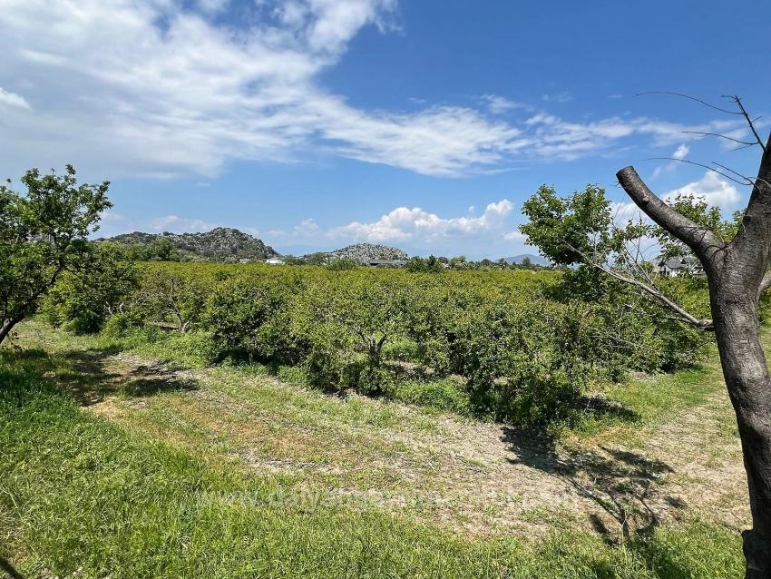 5.100 M² Großes Grundstück In Dalyan, Gebiet Maraş, Zu Verkaufen, Ausgewiesen Für 5% Wohnnutzung.