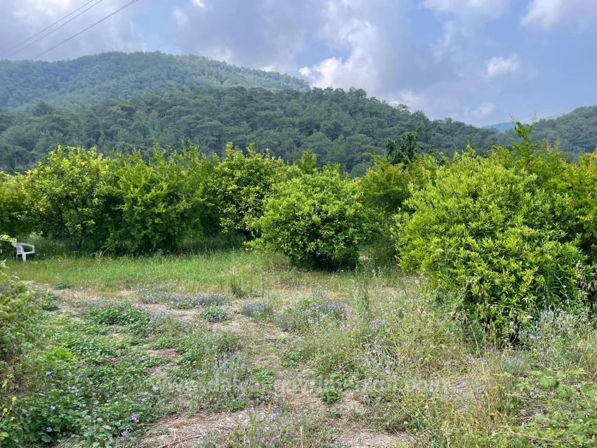 7800 M² Großes Grundstück Zum Verkauf In Gökbel, Neben Der Iztuzu Beach Road