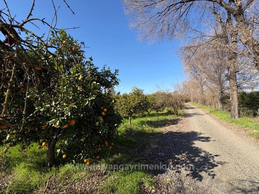 4.326 M² Großes Grundstück Im Wohngebiet Von Okçular Zu Verkaufen.
