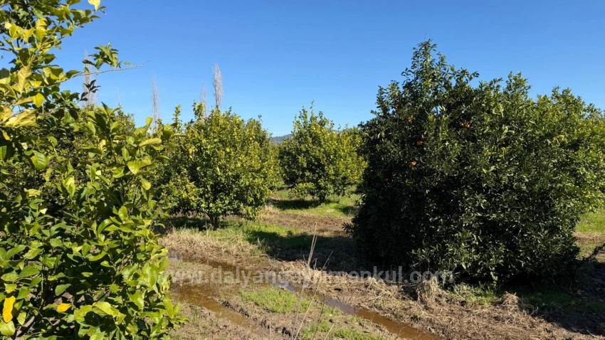 2.218M2 Grundstück Zum Verkauf In Okçular Marmarlı