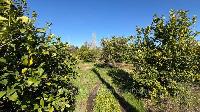 2.218M2 Grundstück Zum Verkauf In Okçular Marmarlı