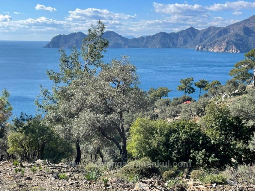 Çandır, Voller Meerblick, 20.000 M², 2 Schlafzimmer, Zu Verkaufen