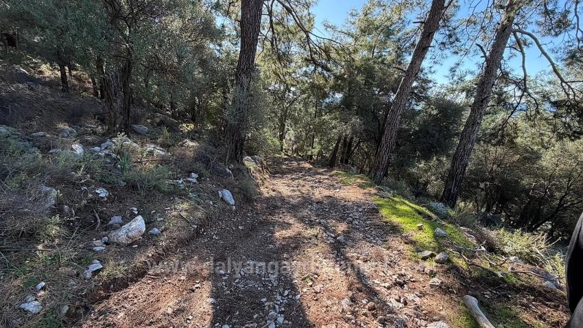 2B-Feld Von 5715 M2 Zum Verkauf Mit Vollem Meerblick In Çandır