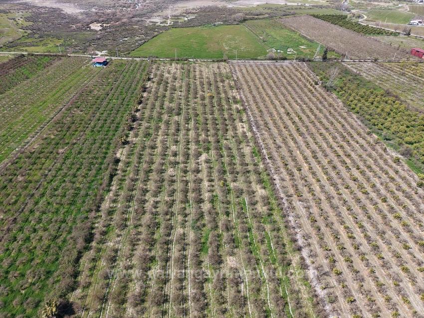 16.710 M² Granatapfelgarten Zum Verkauf Mit Seeblick In Eskiköy