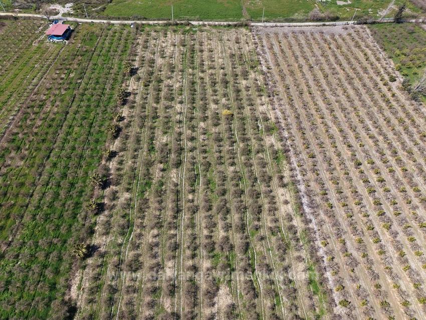 16.710 M² Granatapfelgarten Zum Verkauf Mit Seeblick In Eskiköy
