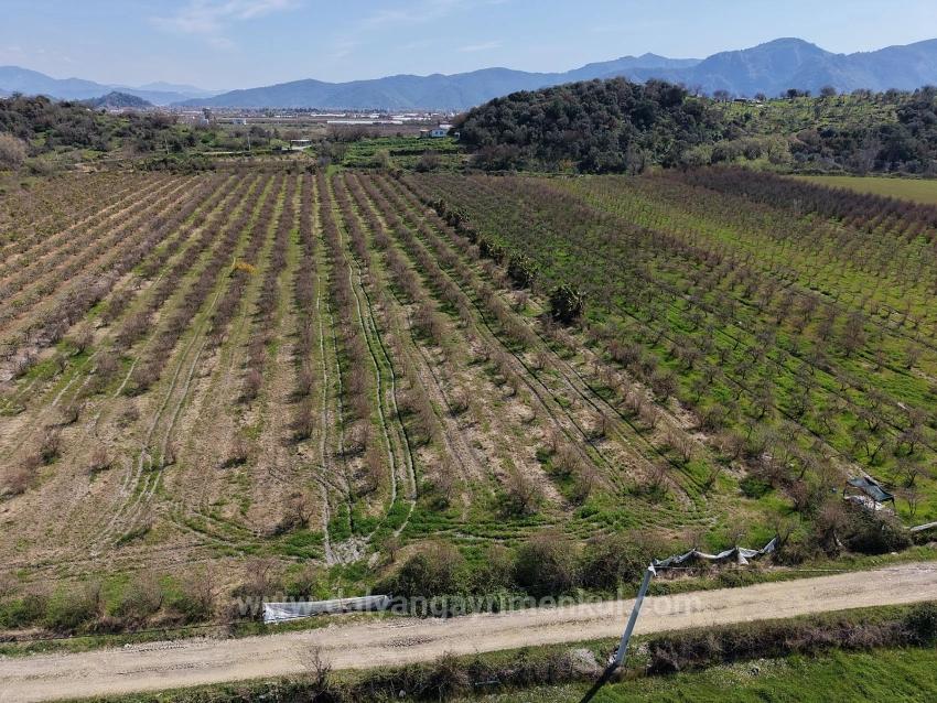 16.710 M² Granatapfelgarten Zum Verkauf Mit Seeblick In Eskiköy