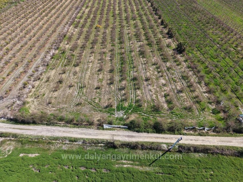 16.710 M² Granatapfelgarten Zum Verkauf Mit Seeblick In Eskiköy