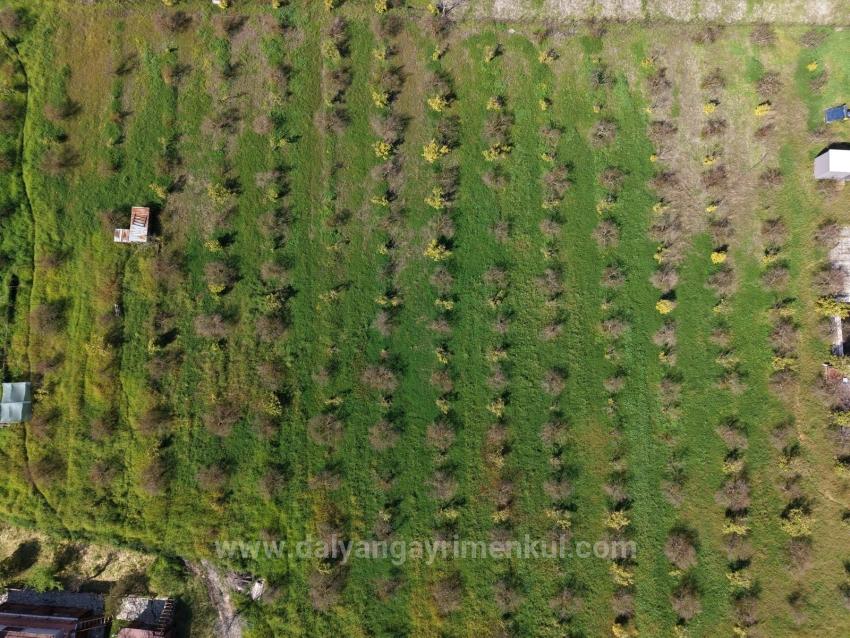 Tourismusorientiertes Unternehmen Auf Einem 11.000 M² Großen Grundstück In Eskiköy Zu Verkaufen.
