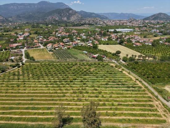 5100 M² Großes Grundstück In Der Nähe Des Stadtzentrums Von Dalyan Zu Verkaufen.