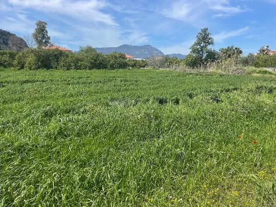 In Okçular Einem 736M2 Großen, 250M2 Großen Bau Genehmigten Verkäuflichen Grundstück