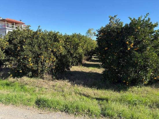 Grundstück Zum Verkauf In Ekşiliyurt, Mit Baugenehmigung, Innerhalb Einer Bebauten Fläche Von 1085 M².