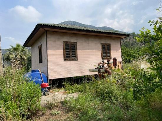 7800 M² Großes Grundstück Zum Verkauf In Gökbel, Neben Der Iztuzu Beach Road