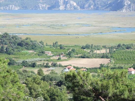 19.334 M² Großes Grundstück Zum Verkauf In Çandır, Köyceğiz.