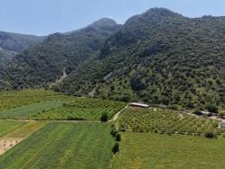 Feld Zu Verkaufen in Dalyan Bz. Ortaca - Feld-Zonierung - 5.100 m²