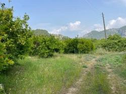 Feld Zu Verkaufen in Gökbel Bz. Ortaca - Gehäuse-Zonierung - 7.800 m²