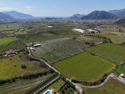 Weinberg & Garten Zu Verkaufen in Dalyan Bz. Ortaca - Weinberg & Garten-Zonierung - 17.550 m²