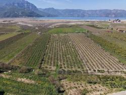 Feld Zu Verkaufen in Eskiköy Bz. Ortaca - Feld-Zonierung - 16.710 m²