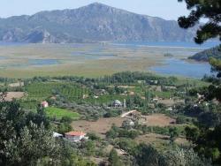 Feld Zu Verkaufen in Çandır Bz. Köyceğiz - Feld-Zonierung - 1.252 m²