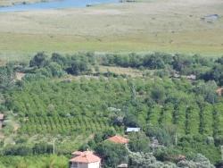 Feld Zu Verkaufen in Çandır Bz. Köyceğiz - Feld-Zonierung - 1.252 m²