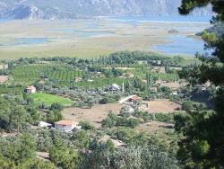 Feld Zu Verkaufen in Çandır Bz. Köyceğiz - Feld-Zonierung - 1.252 m²
