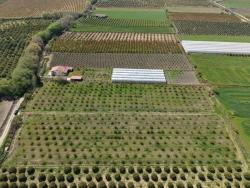 Feld Zu Verkaufen in Eskiköy Bz. Ortaca - Feld-Zonierung - 16.000 m²