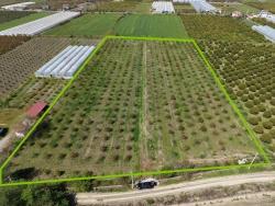 Feld Zu Verkaufen in Eskiköy Bz. Ortaca - Feld-Zonierung - 16.000 m²