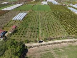 Feld Zu Verkaufen in Eskiköy Bz. Ortaca - Feld-Zonierung - 16.000 m²