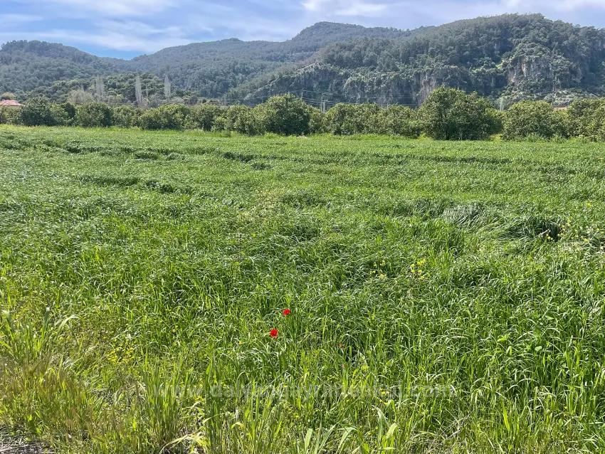 Archers' In Okçular'da 736M2 Olan 250M2 Construction Licensed For Sale Plot