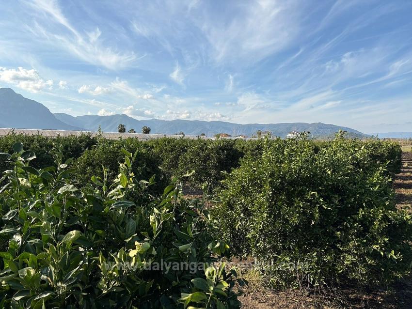 4+1 Villa For Sale In Eskiköy, Located In A 14,136 M2 Field