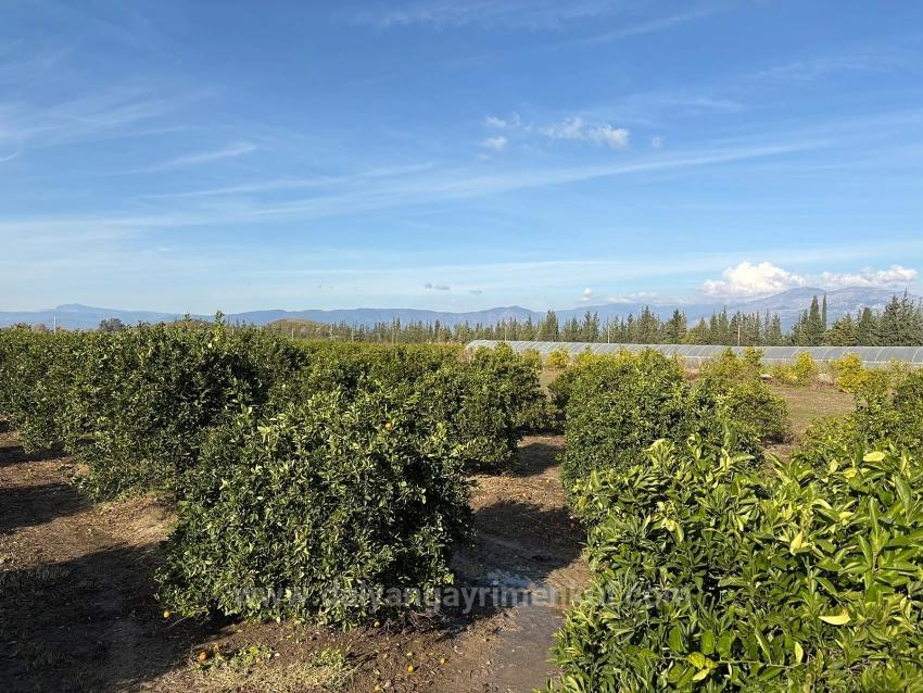 4+1 Villa For Sale In Eskiköy, Located In A 14,136 M2 Field