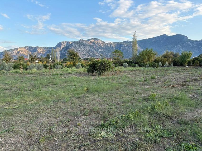 7,450 M² Plot Of Land For Sale In Dalyan With 5% Zoning.