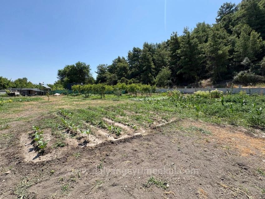 120M2 Detached Wooden House On A 2500M2 Field In Dalyan Karadağ Area