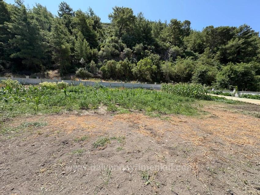 120M2 Detached Wooden House On A 2500M2 Field In Dalyan Karadağ Area