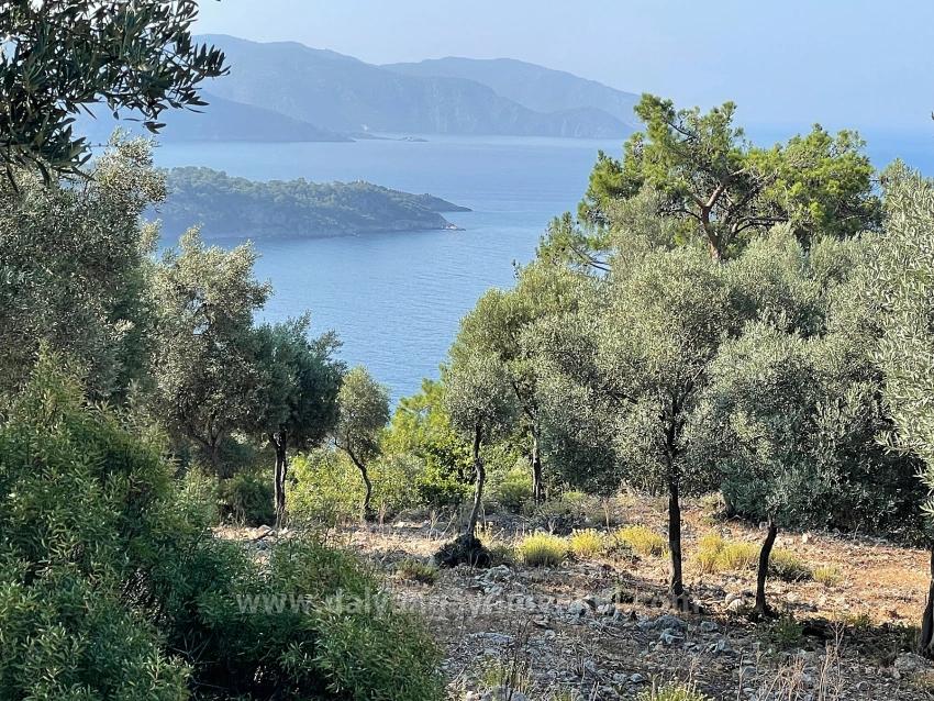 Bargain Real Estate Land For Sale With Sea View In Ekincik Çandır Arasın