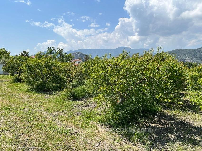 5,100 M² Plot Of Land For Sale In Dalyan, Maraş Area, Zoned For 5% Residential Use.