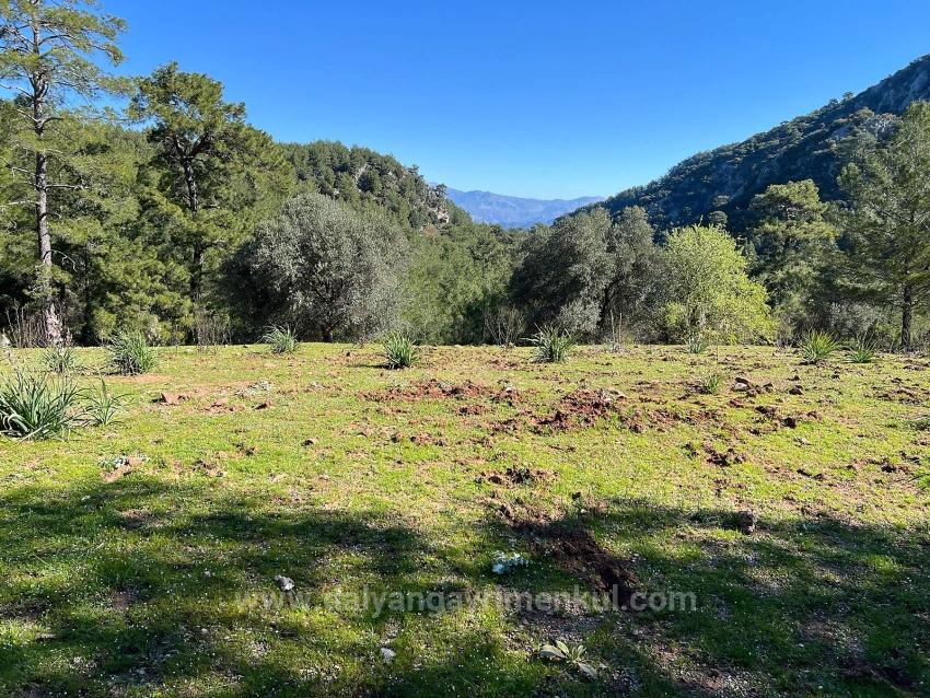 Land For Sale In Gökbel, Surrounded By Nature And Forest.