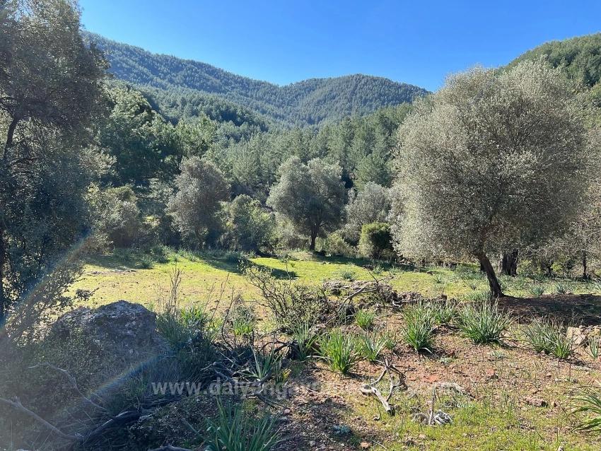 Land For Sale In Gökbel, Surrounded By Nature And Forest.