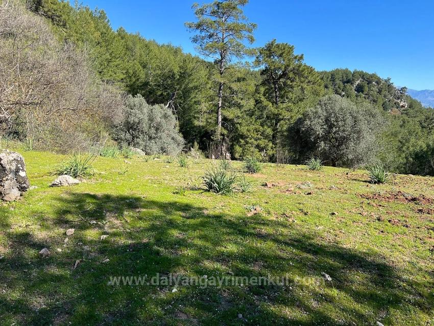 Land For Sale In Gökbel, Surrounded By Nature And Forest.