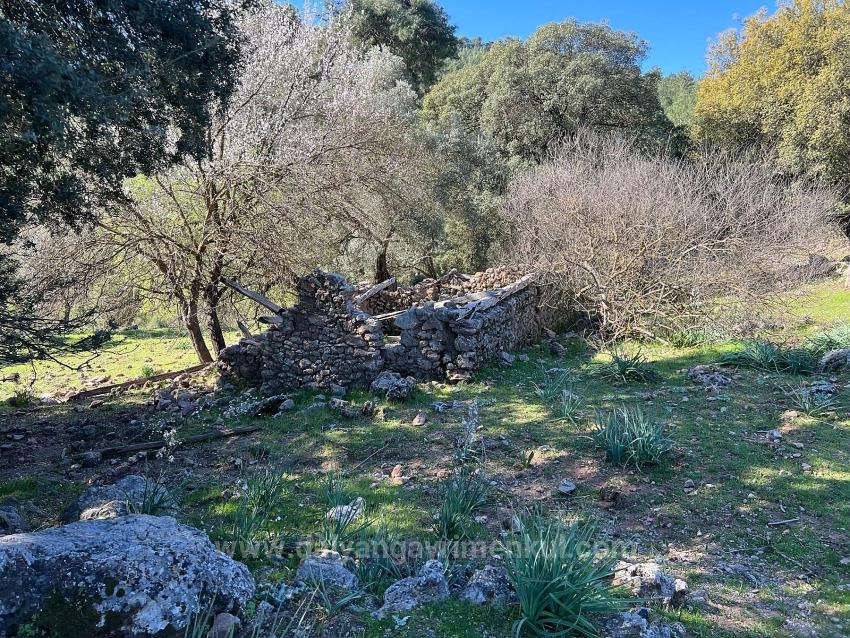 Land For Sale In Gökbel, Surrounded By Nature And Forest.