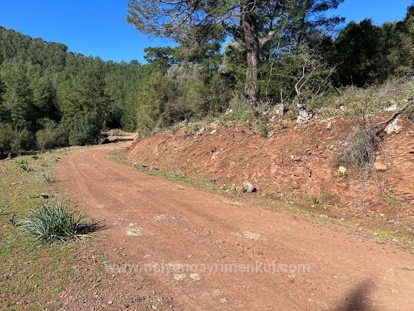 Land For Sale In Gökbel, Surrounded By Nature And Forest.