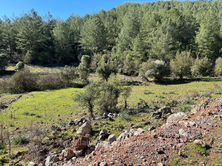 Land For Sale In Gökbel, Surrounded By Nature And Forest.