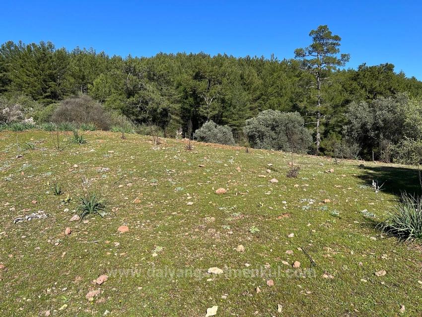 Land For Sale In Gökbel, Surrounded By Nature And Forest.