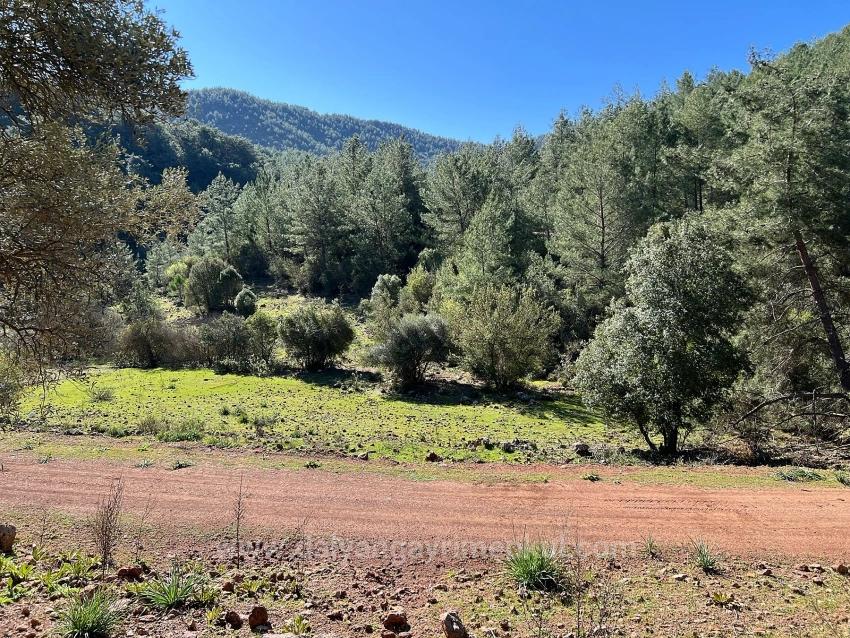 Land For Sale In Gökbel, Surrounded By Nature And Forest.