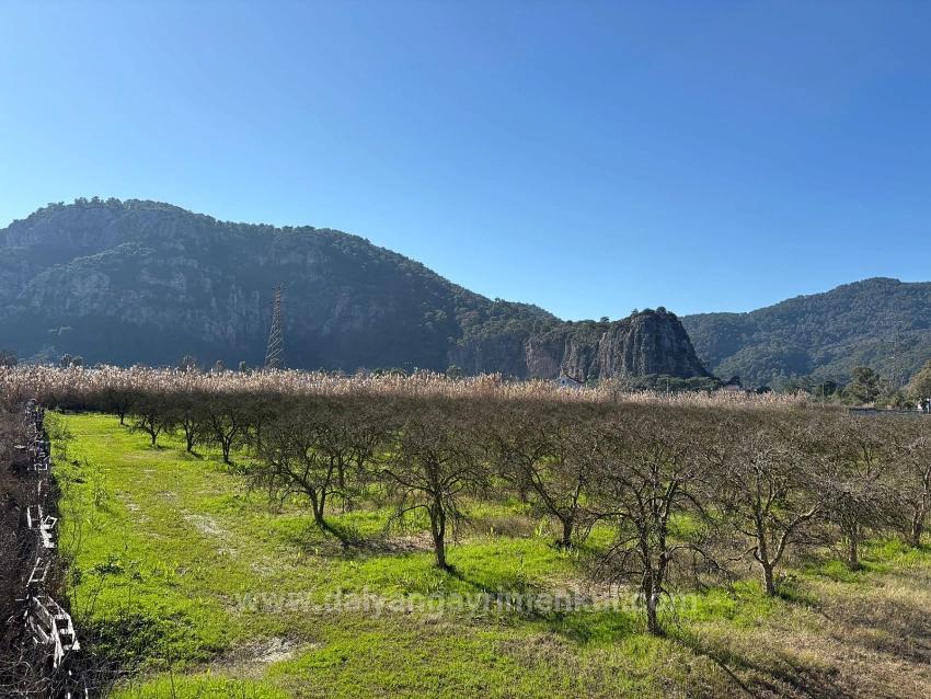 5985M2 Plot Of Land For Sale In Dalyan, Zoned For 5% Vineyard/Orchard Use.